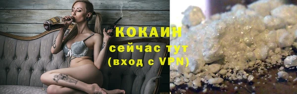 ГАЛЛЮЦИНОГЕННЫЕ ГРИБЫ Бородино