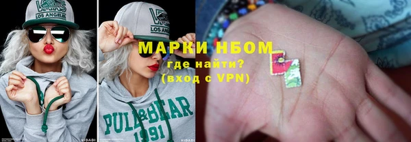 ГАЛЛЮЦИНОГЕННЫЕ ГРИБЫ Бородино