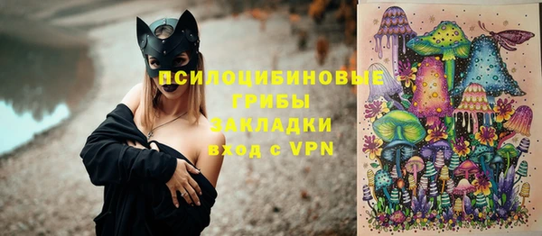 ГАЛЛЮЦИНОГЕННЫЕ ГРИБЫ Бородино
